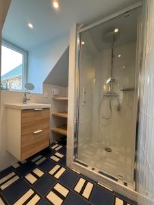 a bathroom with a shower and a sink at Le Cosy in Coutances