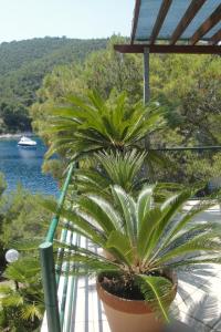 a potted plant sitting on a balcony overlooking a river at Apartment Nono Ivo in Vis