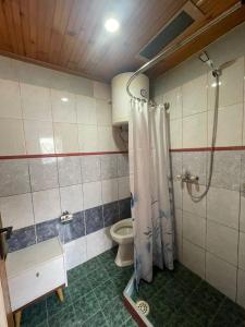 a bathroom with a shower and a toilet at Apartman Metovic in Bar