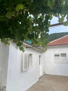 a white building with two windows and a roof at Apartman Metovic in Bar