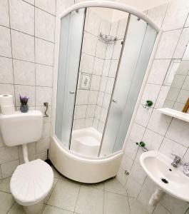 a bathroom with a shower and a toilet and a sink at Apartmani Selce za 2-3 osobe in Selce +27 photos