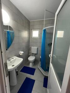 a bathroom with a sink and a toilet and a shower at Casa Inna Inna Corbu in Corbu +22 photos