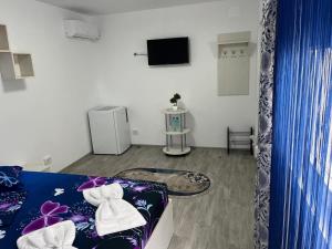 a living room with a couch and a tv at Casa Inna Inna Corbu in Corbu