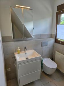 a bathroom with a sink and a toilet and a mirror at Ferienwohnung am Hainer Berg in Heigenbrücken +4 photos