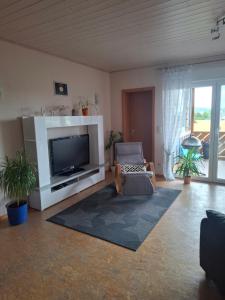 a living room with a flat screen tv and a couch at Ferienwohnung Heck in Waldeck