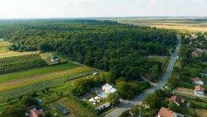an aerial view of a village and a road at Vikendica Forest Mansion Surčin in Progar