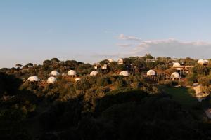 a group of houses on a hill with trees at wecamp Reserva Alecrim in Santiago do Cacém