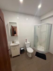 a bathroom with a shower and a toilet and a sink at Bernotiškių Hotel & Dining in Stotis Bernotiškis +11 photos