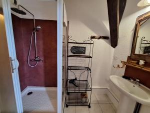 a bathroom with a shower and a toilet and a sink at Domaine de Fondain in Laqueuille +67 photos