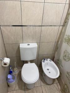 a small bathroom with a toilet and a sink at Heart Viedma in Viedma +10 photos