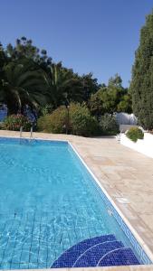 una piscina azul con árboles en el fondo en Ikaria Village , apartment 202 en Pafos