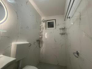 a white bathroom with a shower and a toilet at Hvar-Zarace Ina 2 in Gdinj