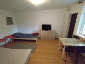 a living room with a couch and a tv at Pokoje Gościnne u DORIS in Stegna