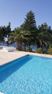 una gran piscina con palmeras en el fondo en Ikaria Village , apartment 202 en Pafos