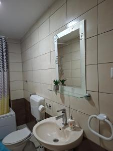 a bathroom with a sink and a toilet and a mirror at Guest House Olbina in Korenica
