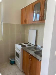 a kitchen with a stove and a sink at Vista apartments in Risan +1 photo