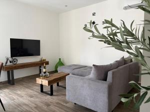a living room with a couch and a tv at 7sopot in Buzet