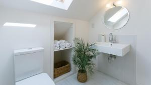 a bathroom with a sink and a mirror and a plant at Brendon in Nefyn +86 photos