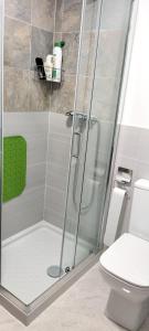 a shower stall in a bathroom with a toilet at Muiño Verde in Loña del Monte