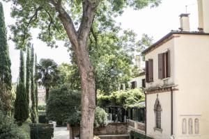 a large tree in front of a building at Venier Apartment in Venice