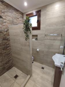 a bathroom with a shower and a sink at Evita's House in Doxato +9 photos