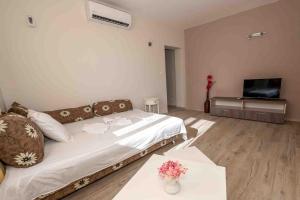 a living room with a bed and a flat screen tv at Coral Guest House in Obzor