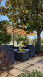 a patio with a table and chairs under a tree at Superbe T2 au rez-de-chaussée avec jardin in Arles