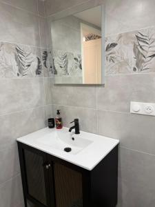 a bathroom with a sink and a mirror at Superbe T2 au rez-de-chaussée avec jardin in Arles +31 photos