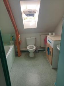a bathroom with a toilet and a sink and a skylight at PROCHE CIRCUIT 24H Le Mans in Guécélard