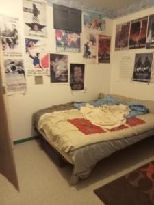a bed in a room with posters on the wall at PROCHE CIRCUIT 24H Le Mans in Guécélard