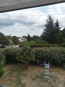 a ladder sitting in a yard next to a palm tree at PROCHE CIRCUIT 24H Le Mans in Guécélard