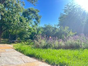 a garden with grass and purple flowers and trees at In the nature in Vroutek +7 photos