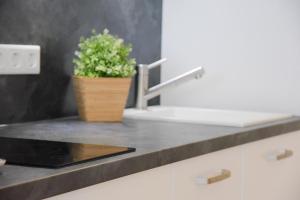 a tablet on a kitchen counter next to a sink at Am Seeufer 59 Fewo 1 in Waren