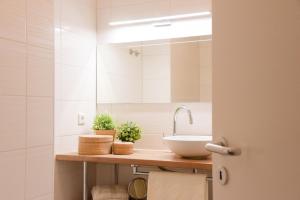 a bathroom with a sink and a mirror at Am Seeufer 59 Fewo 1 in Waren +5 photos