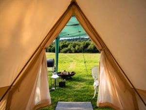 a tent with a view of a field at Damson Keep Wild glamping pop up in Bere Alston