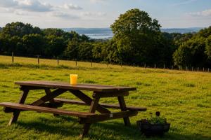 a picnic table with a drink on top of a field at Damson Keep Wild glamping pop up in Bere Alston +7 photos