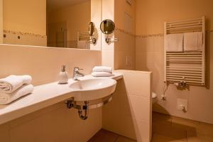 a bathroom with a sink and a mirror and a shower at Hafendomicil Appartement WH13 - Eisvogel in Waren