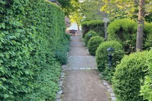 a stepping stone path through a hedge with a hedge at UG-Birke in Göhren-Lebbin +14 photos