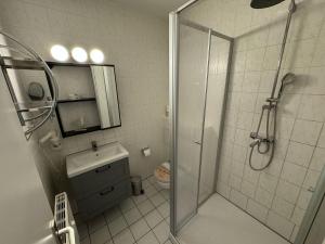 a bathroom with a shower and a sink at UG-Buche in Göhren-Lebbin +8 photos
