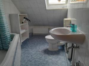 a bathroom with a sink and a toilet at Tannenblick Loppin DG in Jabel