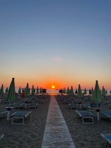ein Strand mit Stühlen und Sonnenschirmen bei Sonnenuntergang in der Unterkunft Hotel Donegal in Cesenatico