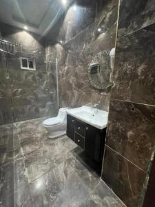 a bathroom with a toilet and a sink at Palmtree Hotel in Lahore