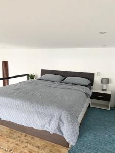 a bedroom with a large bed and a blue rug at ETALON in the heart of Novi Sad in Novi Sad