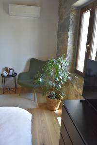 a bedroom with a bed and a couch and a plant at Viktor Estate in Deskle