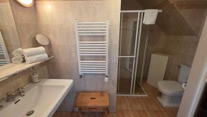 a bathroom with a sink and a shower and a toilet at Altstadt Loft in Waren