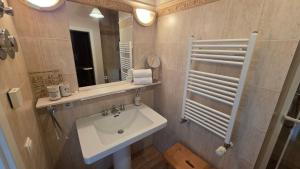a bathroom with a sink and a mirror at Altstadt Loft in Waren