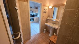 a small bathroom with a sink and a shower at Altstadt Loft in Waren