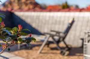 a chair and a plant in front of a building at Ferienwohnung Sonnendeck in Klink