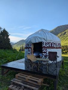 a tent sitting on a table in a field at Altyn Sky in Mineralʼnyy Istochnik Altyn-Arasan