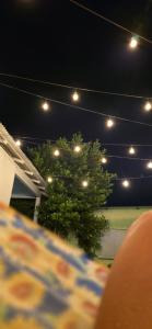 a view of a tree at night with lights at Mecejana Home in Boa Vista